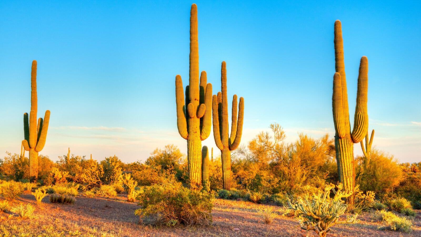 Does heat or dry air cause nosebleeds?